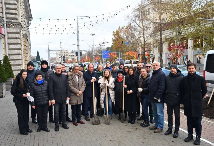 Chișinăul vrea să devină un oraș mai verde. Primarul și mai mulți diplomați au platat copaci pe bulevardul central